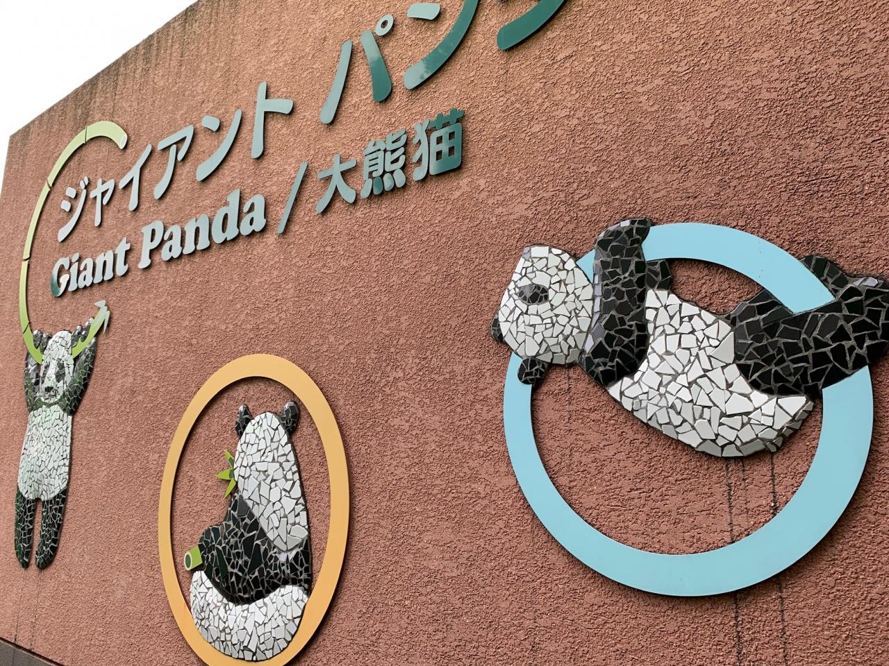 三国志展と上野動物園 上野 御徒町 東京 の旅行記 ブログ By Tre Anelliさん フォートラベル