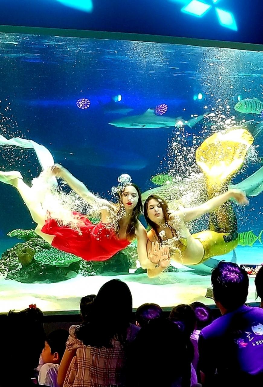 水族館に行こうシリーズ アクアプラネット63 19 07 ソウル ソウル 韓国 の旅行記 ブログ By Jioさん フォートラベル