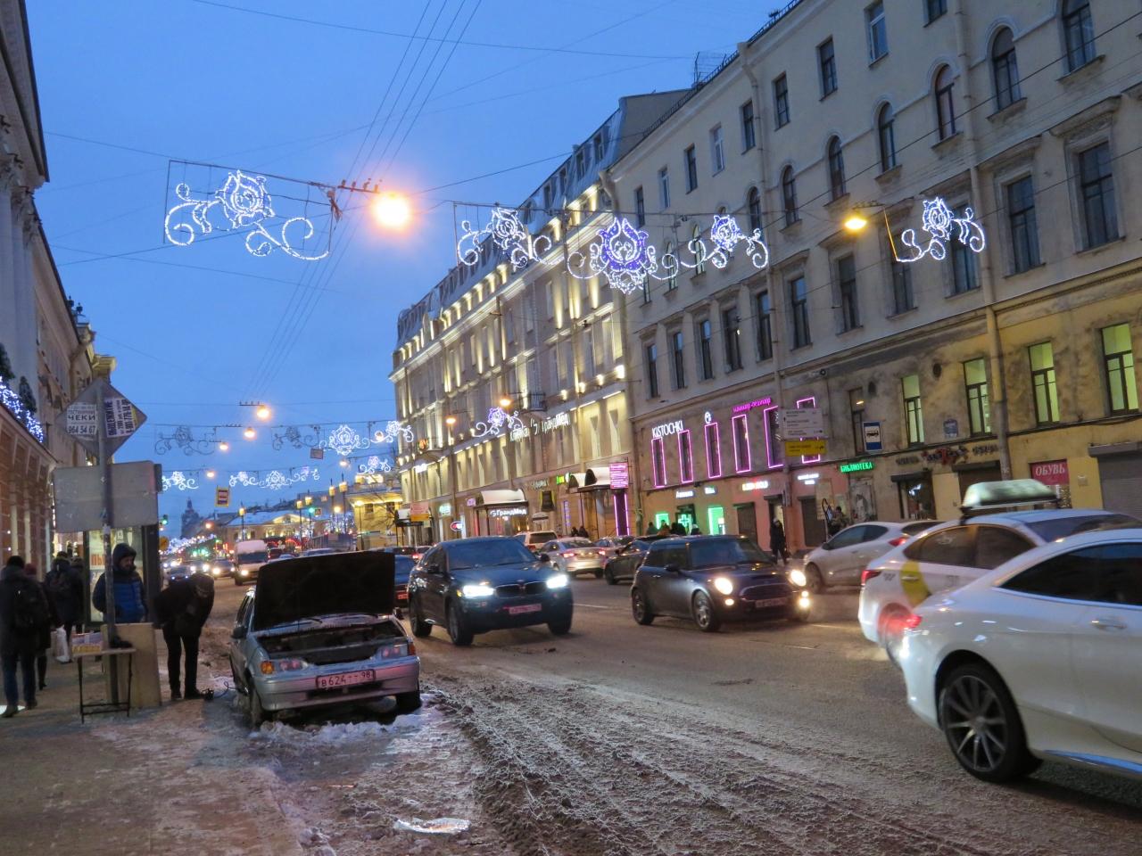 完全個人手配で実現 ロシア一人旅 サンクトペテルブルク ロシア の旅行記 ブログ By コギさん フォートラベル