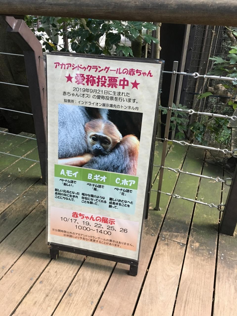 珍しい動物いっぱい 横浜ズーラシア動物園へ 神奈川県の旅行記 ブログ By ぐりぐらさん フォートラベル