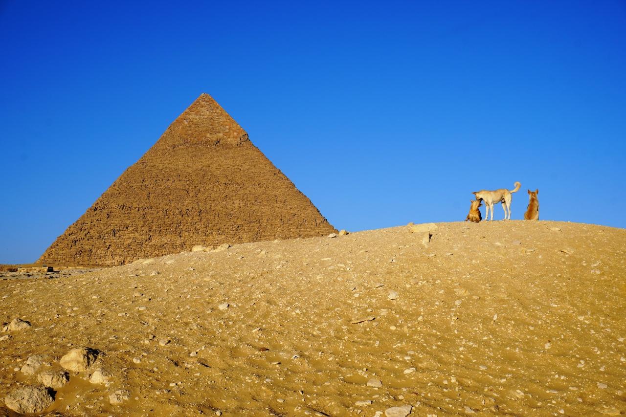 19年冬季休暇 エジプト縦断旅行 ギザの大ピラミッド ギザ エジプト の旅行記 ブログ By イナザイルさん フォートラベル