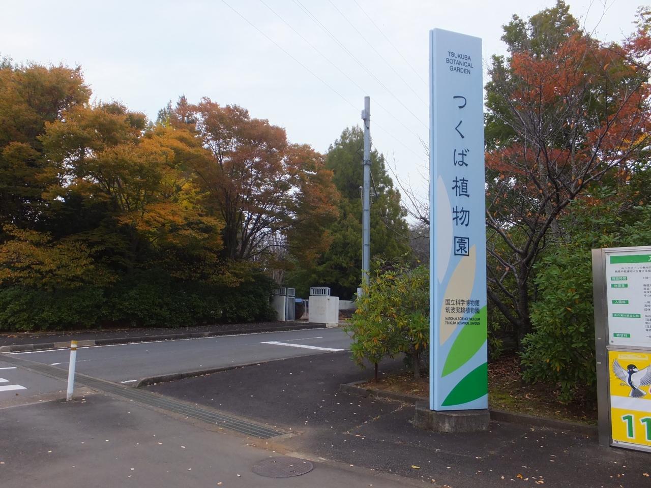 なつかしのつくば科学館巡り パラボラはもうないけど つくば 茨城県 の旅行記 ブログ By 元杜鉄工さん フォートラベル