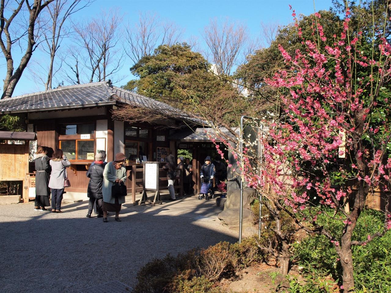 今年も春の妖精探しは向島百花園から 浅草 東京 の旅行記 ブログ By 紅映さん フォートラベル