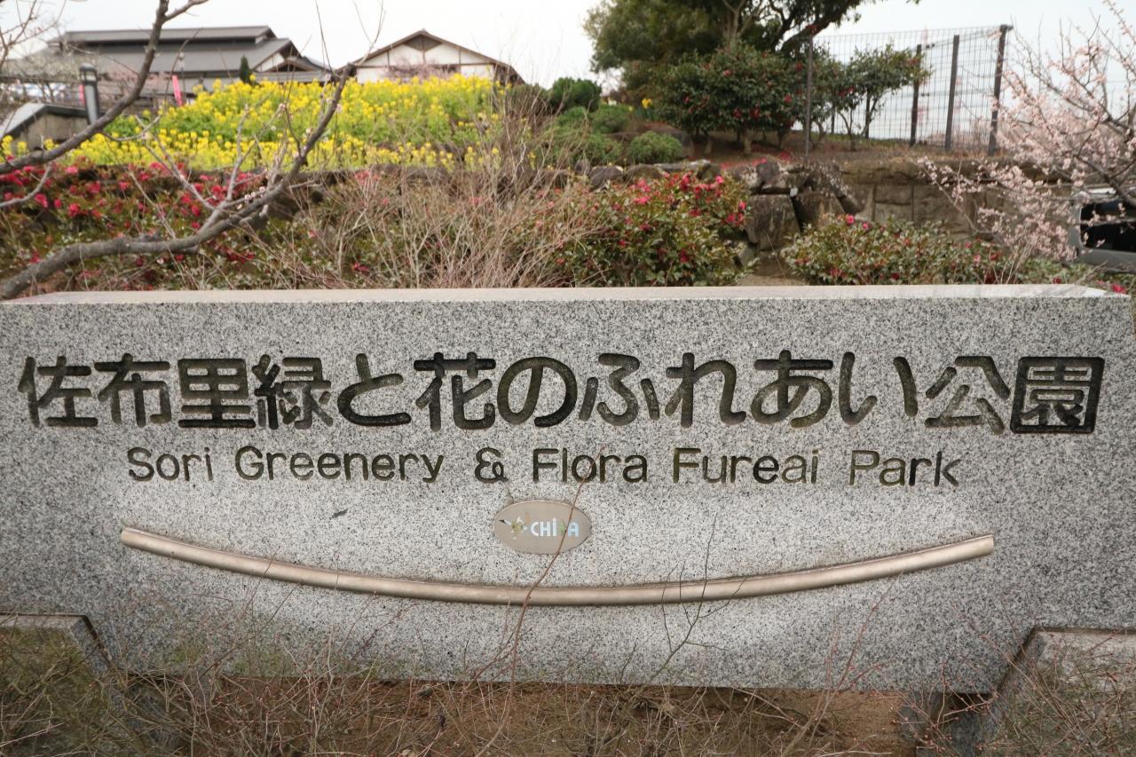 春の予感 梅の競演 佐布里池梅まつり 平芝梅林公園 知多 東浦 愛知県 の旅行記 ブログ By みちるさん フォートラベル