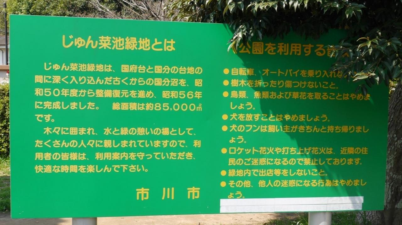 新緑のじゅん菜池緑地 回向院市川別院源光寺 里見公園 04 15 市川 千葉県 の旅行記 ブログ By 杏仁豆腐さん フォートラベル