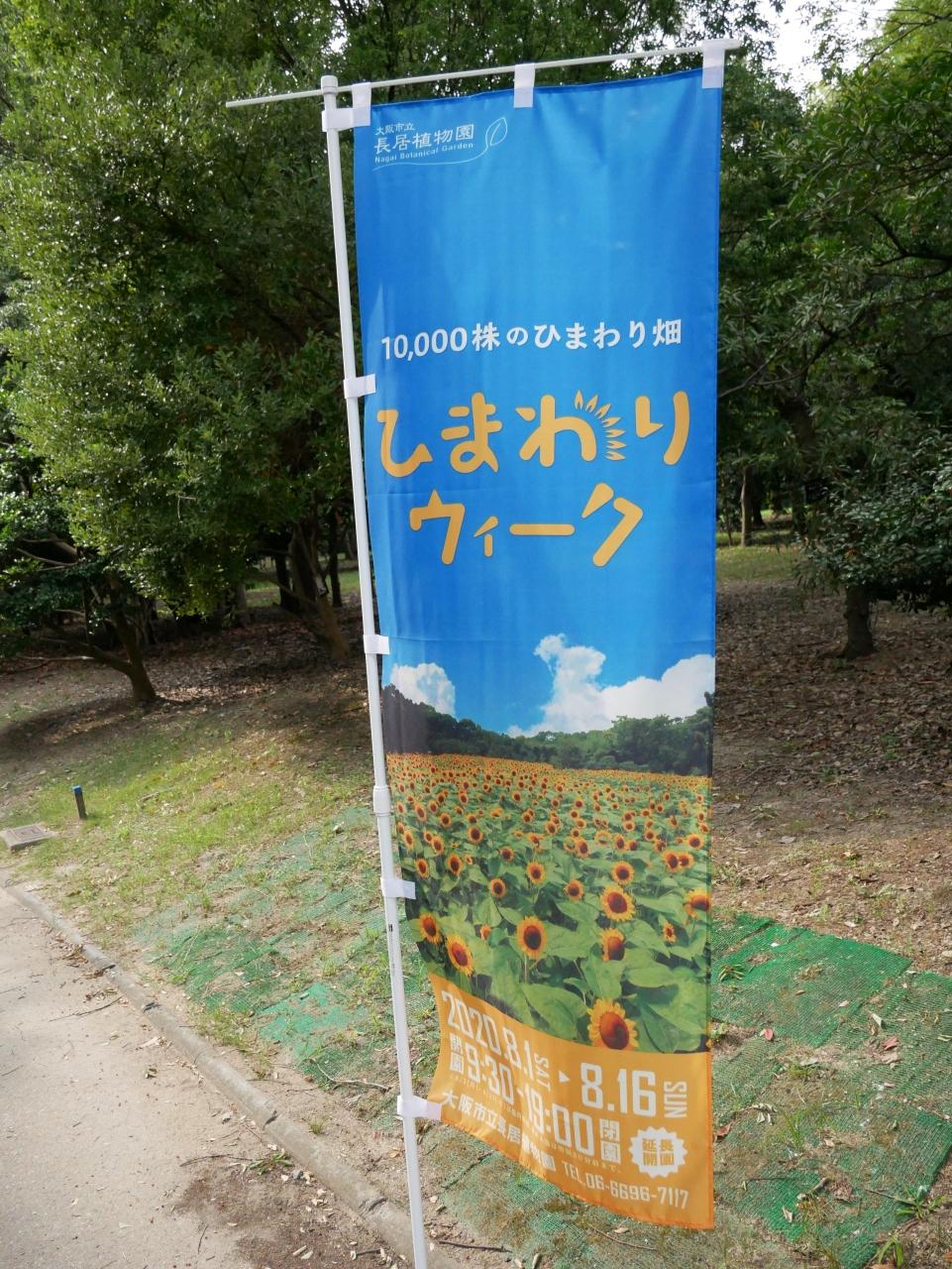 0円旅行記第6弾 年8月 大阪市立長居植物園 ひまわりウィーク 住吉 平野 大阪 の旅行記 ブログ By レッドウイングさん フォートラベル