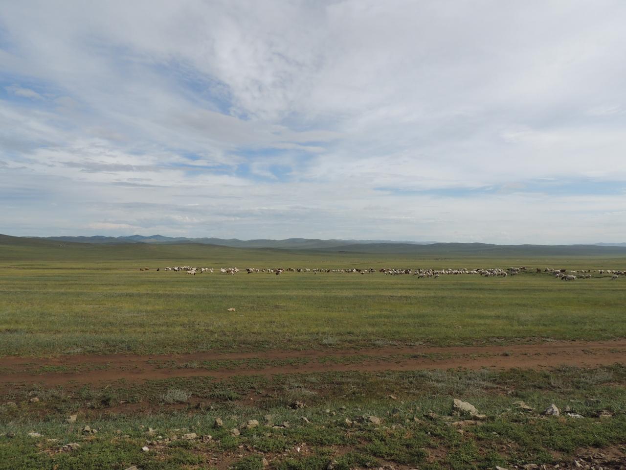 モンゴルへ行ってみました その他の観光地 モンゴル の旅行記 ブログ By Tigerさん フォートラベル