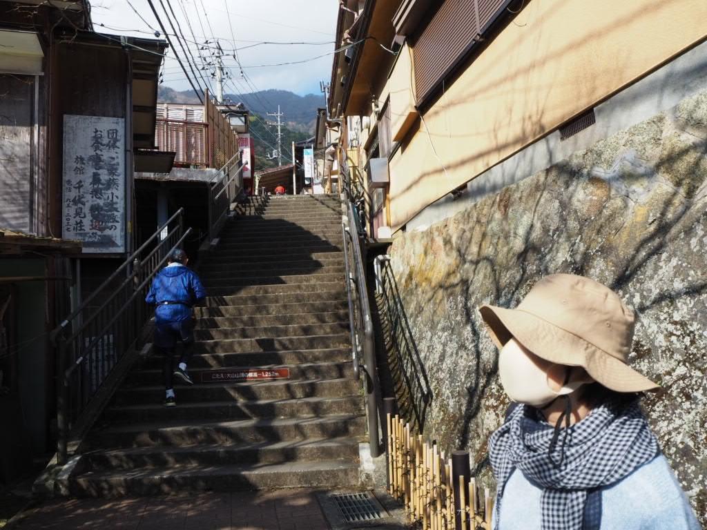 紅葉の大山 こま参道でお豆腐料理 丹沢 大山 神奈川県 の旅行記 ブログ By Capriさん フォートラベル