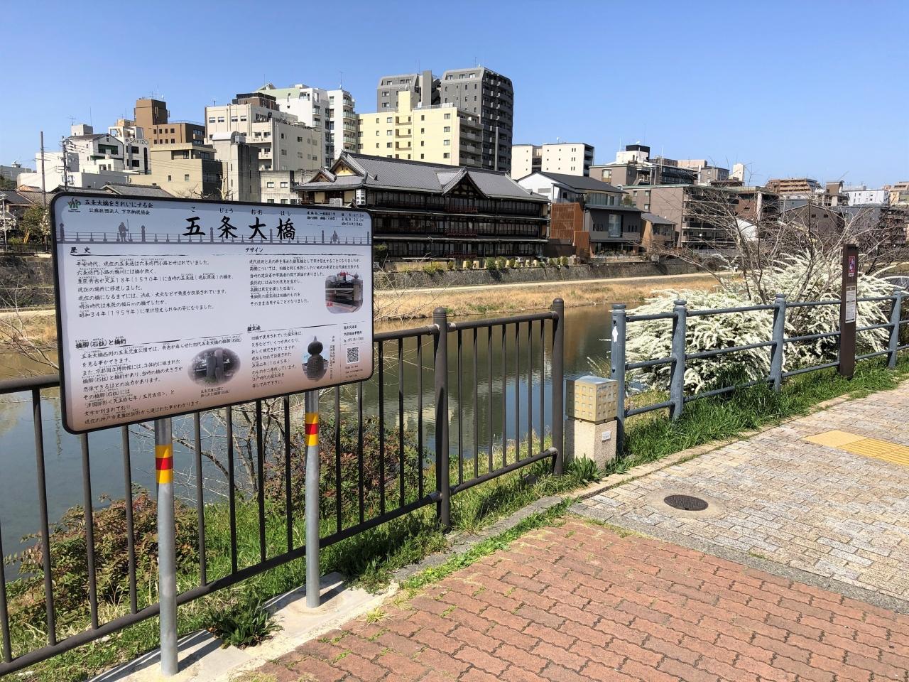 春の京都 東山エリア ピンクのしだれ桜 満開の鴨川沿いでお花見 木屋町 清水五条さくらライトアップ 京都タワー をバックに桜の木をパチリ 東山 祇園 北白川 京都 の旅行記 ブログ By リンリンベルベルさん フォートラベル