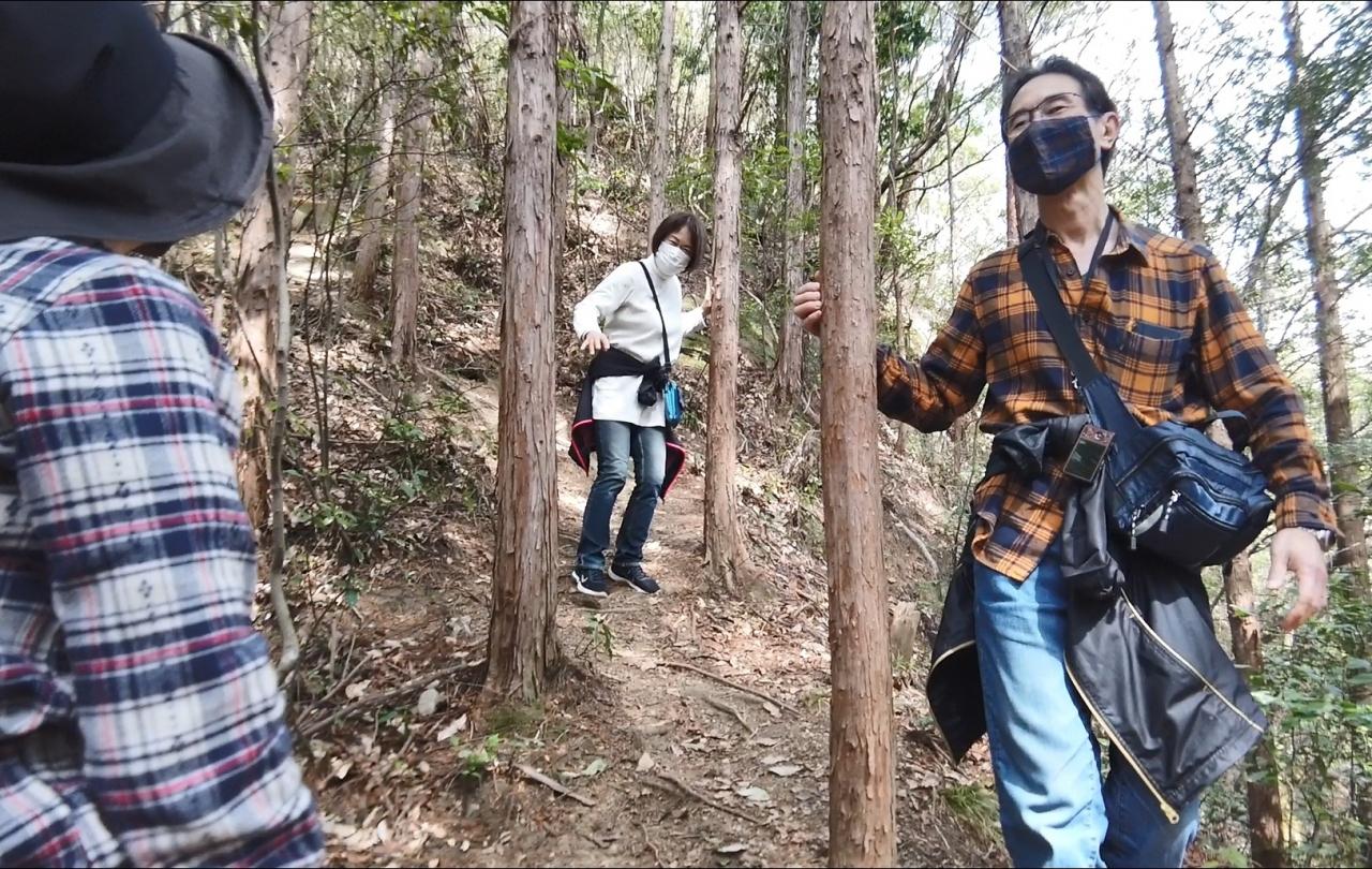 ワラビを探しに獅子ヶ鼻公園に おバカな私たち 2 2 ゼンマイじゃなかった 磐田 静岡県 の旅行記 ブログ By Motogenさん フォートラベル