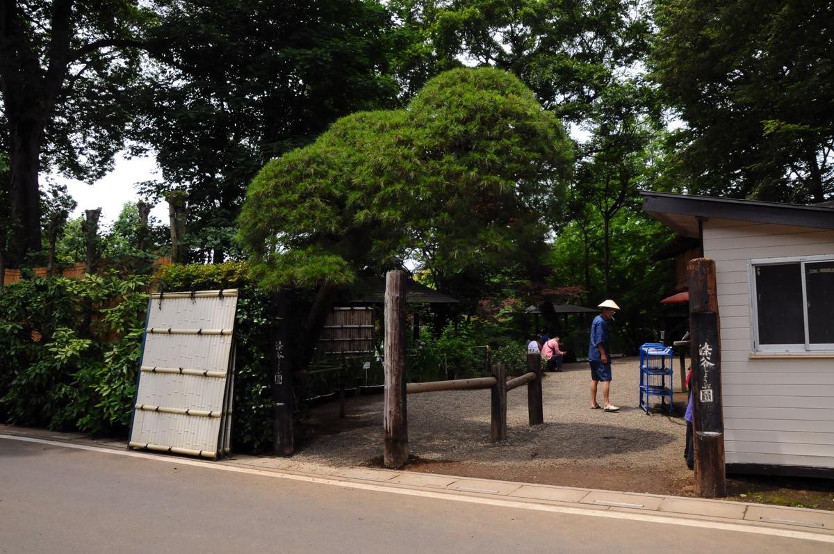 染谷花しょうぶ園と見沼の自然 大宮 埼玉県 の旅行記 ブログ By 旅猫さん フォートラベル