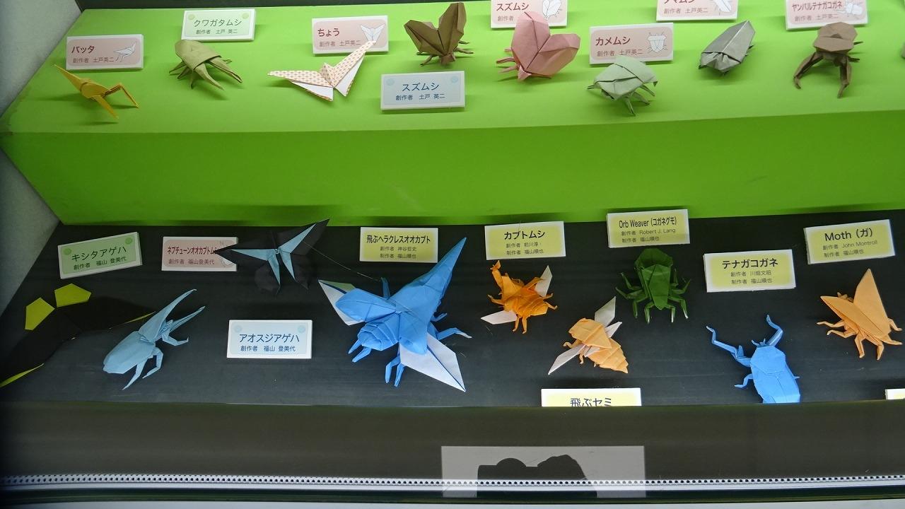 久しぶりに 伊丹昆虫館の見学 その３ 伊丹 兵庫県 の旅行記 ブログ By Hn11さん フォートラベル