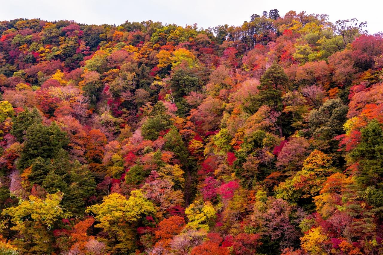 九酔渓の紅葉 21 筋湯温泉 九重温泉郷 大分県 の旅行記 ブログ By 気まぐれなデジカメ館さん フォートラベル