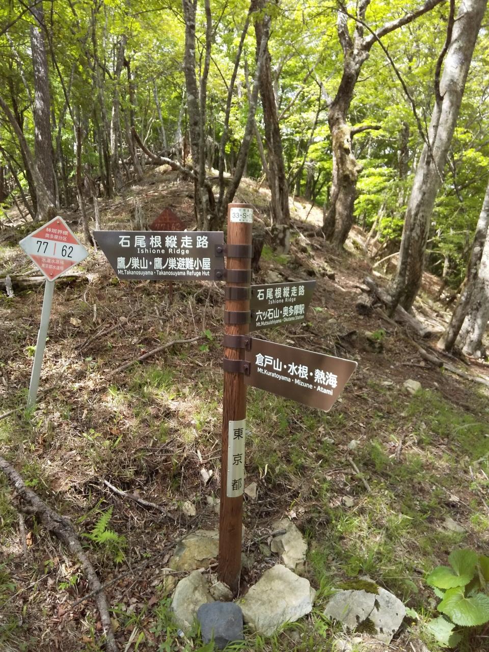 とても癒される沢 奥多摩の水根渓谷 奥多摩 東京 の旅行記 ブログ By 湖仙さん フォートラベル