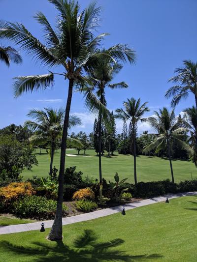 Kona Coast Resort Condo Oceanfront Property! 写真