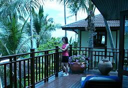 ロイヤルメリディアンのビラはけっこう種類がある