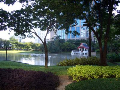 広東料理レストランの盛りのいいこと