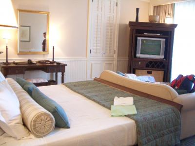 モーリシャス南西側　ホテル　ル・テルフェアー