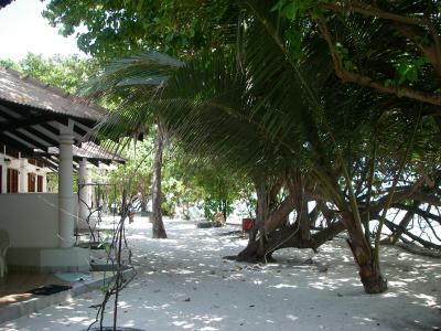 エンブドゥ　　シュノーケリングをしたい方におすすめ！