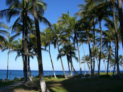私はとても気に入りました☆