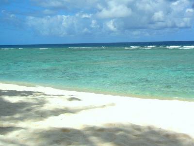 ココパーム ガーデン のんびり派におすすめ