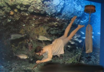 千葉県立安房博物館