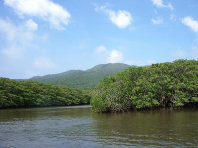 石垣島発日帰り西表島観光と天候について