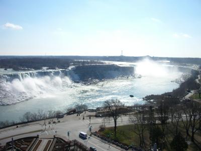 シーフードレストラン(ロブスター以外がメイン)ラブボート