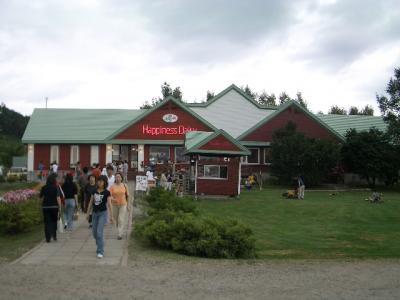 ハッピネスデイリー