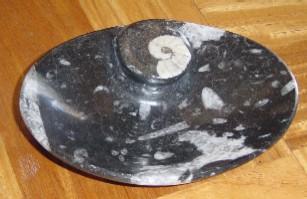 アンモナイトグッズ