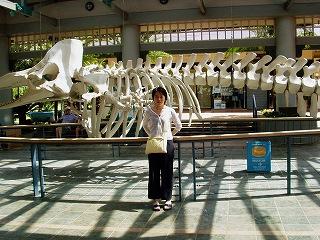 ホエラーズヴィレッジ