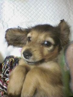 やっぱり安かったKマート！