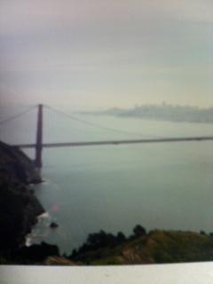 サンフランシスコが見渡せます！