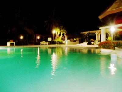 やどかり・・・