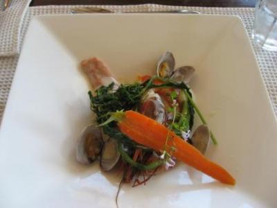 念願のブルーベリーフィールズ