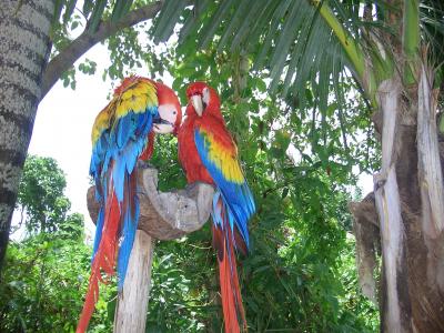 マリンパーク「シカレ」