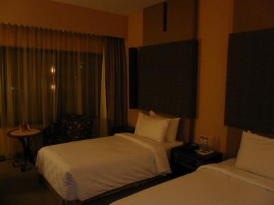 綺麗なホテルでした。