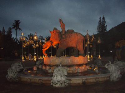 食事もエンターテイメントも最高！！