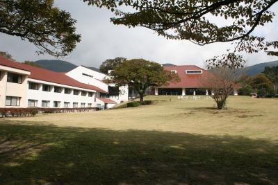 夕食は、洋食がいい。