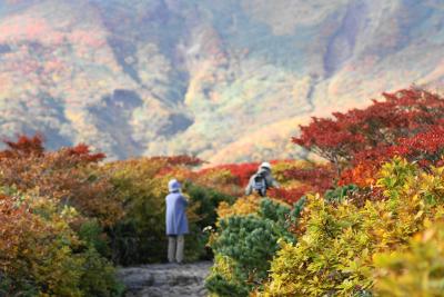 栗駒山中央コース