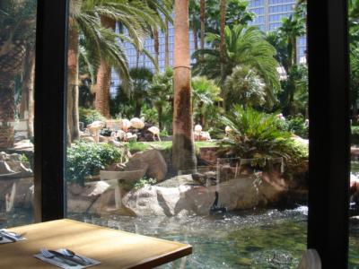 フラミンゴのバフェ