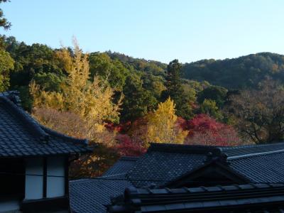 紅葉の名所、神峯山寺