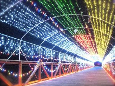 花の都イルミネーション