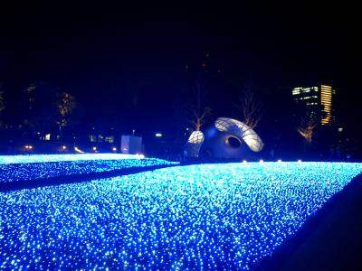 初めてのLight Up