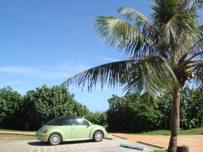 レンタカーもアリです！！