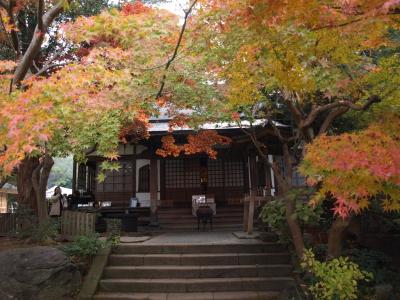 すばらしい紅葉