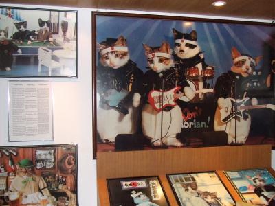 The Cat Museum