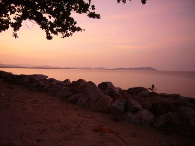 自然いっぱいです。