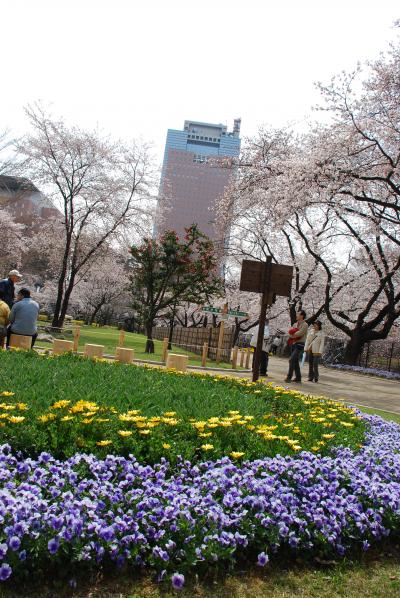 桜だけじゃないんです♪