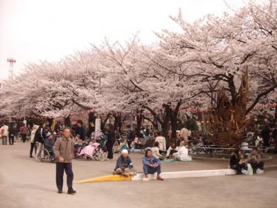 歩くスペースが十分にあって楽しめる